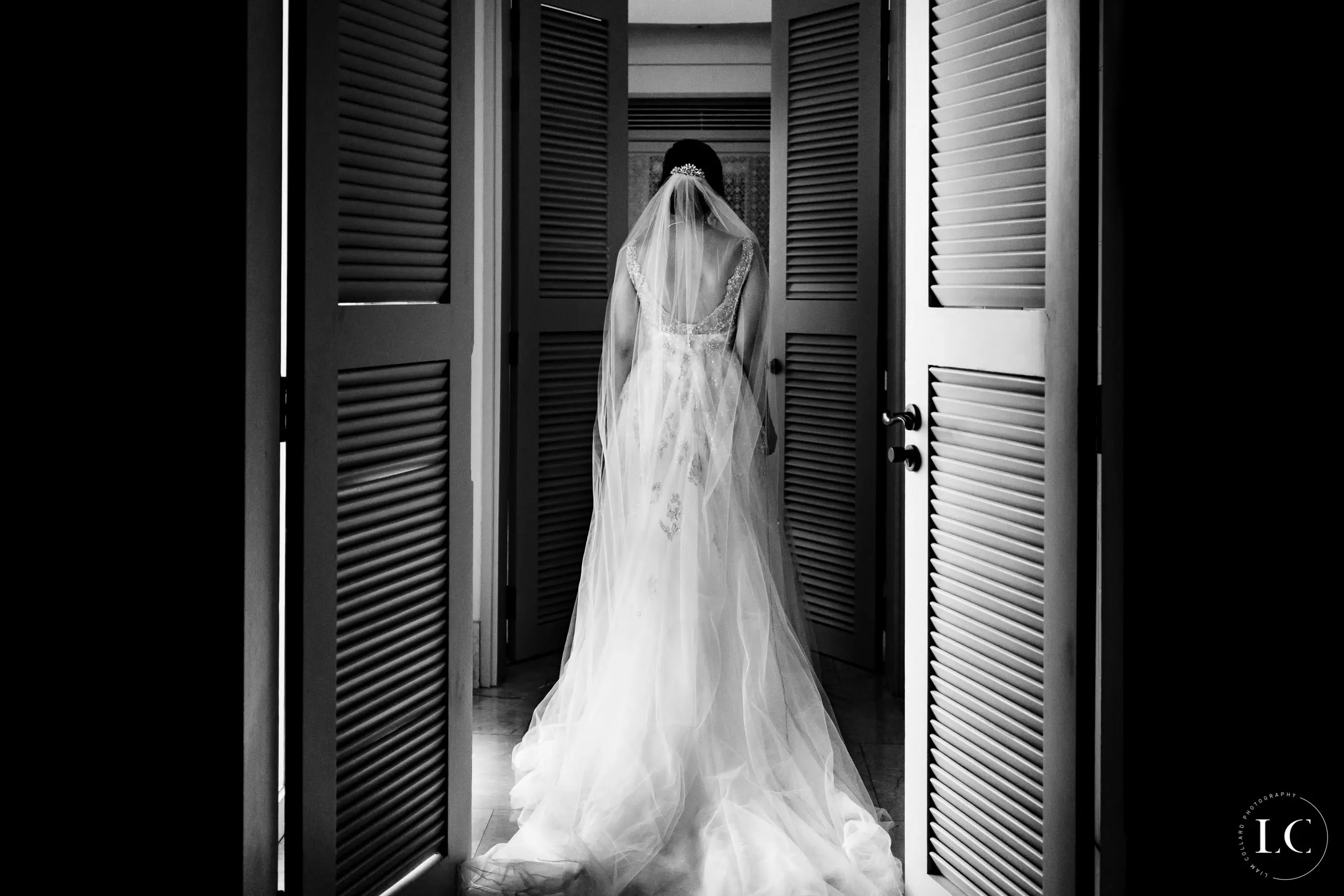 Bride in wedding dress from the back